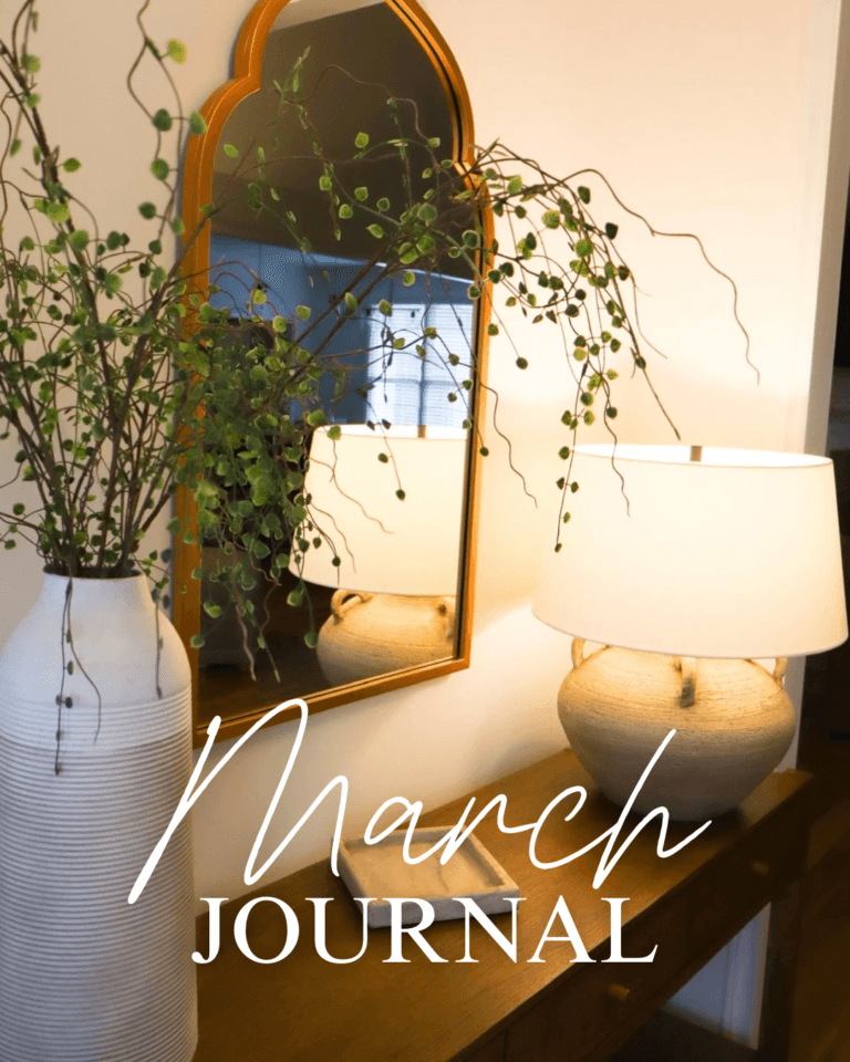 Read more about the article March Journal